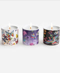 Johnny Was Candle Gift Set